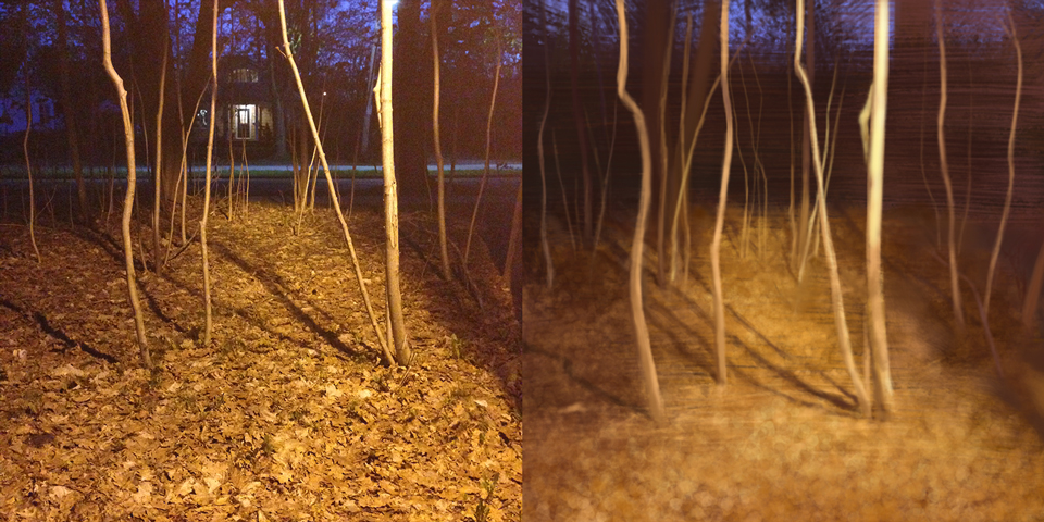 Fall Woods (digital painting, 2015) © Dane Aleksander
