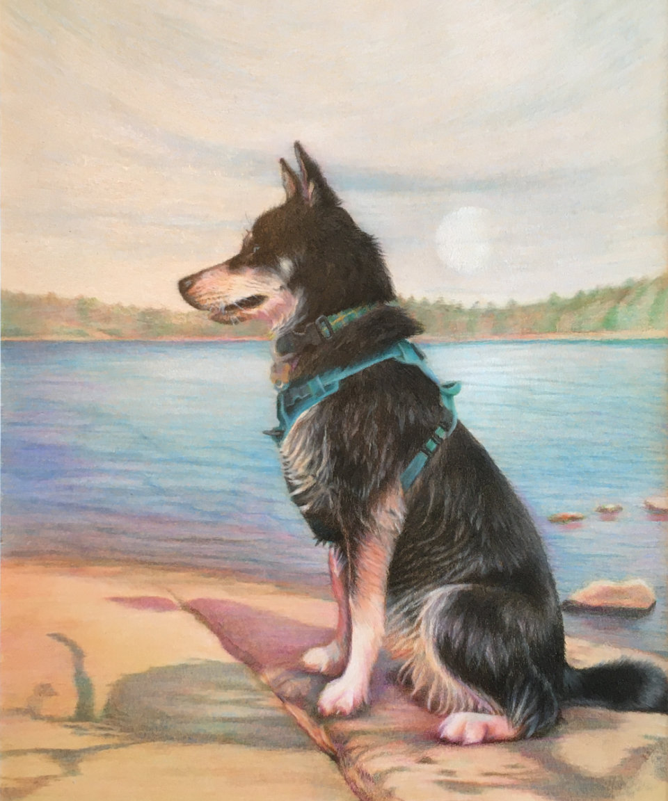 Luna at Long Lake (colored pencil, 2019) © Dane Aleksander