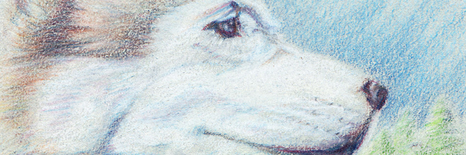 Kita at Long Lake (colored pencil, 2010) [cropped] © Dane Aleksander