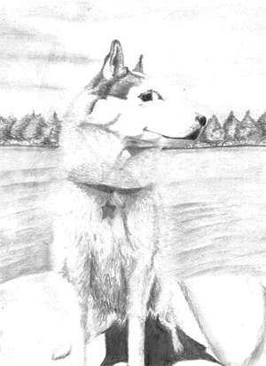 Kita at Long Lake (graphic pencil, 2006) © Dane Aleksander