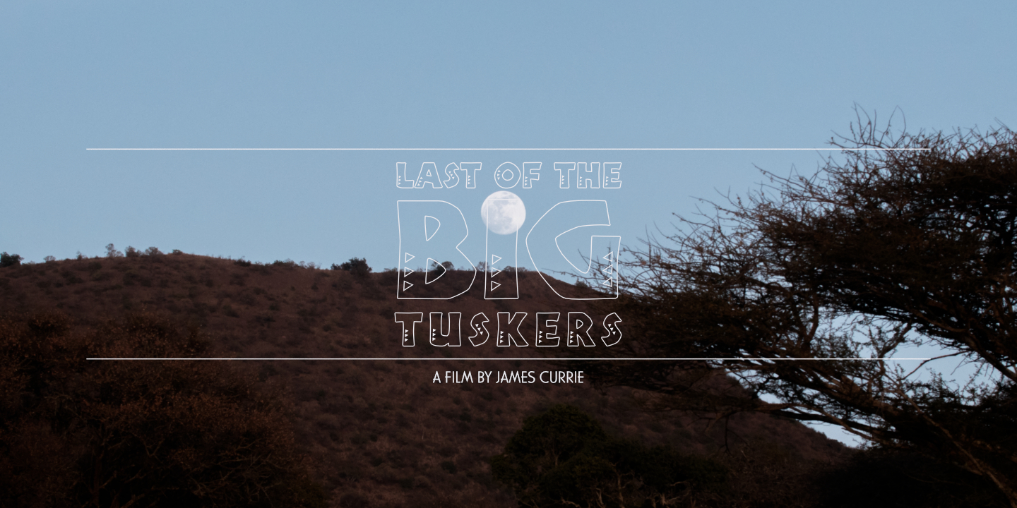 Last of the Big Tuskers – Title spot: Tembe Elephant Park (2018) © Umboko Productions