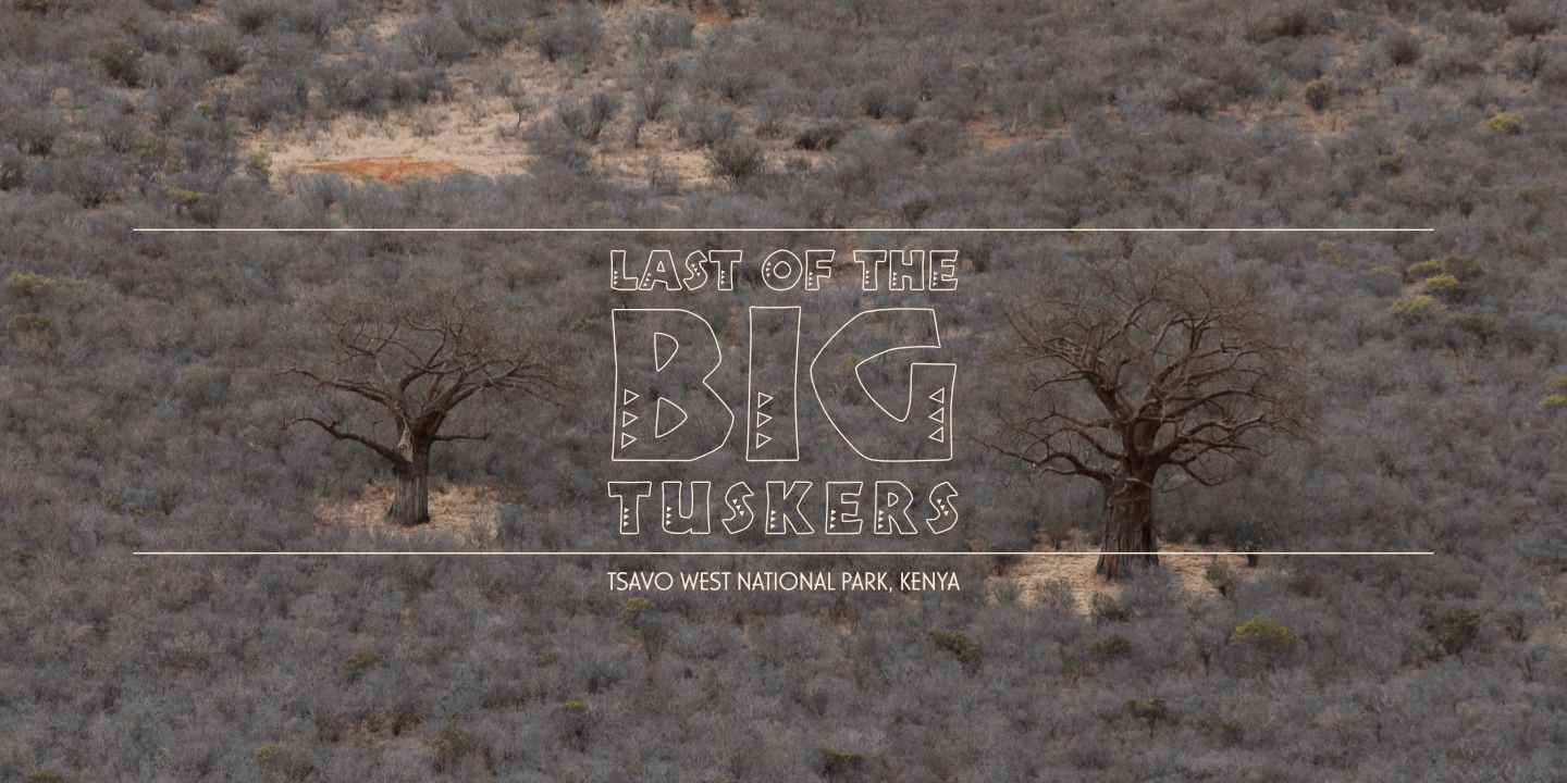 Last of the Big Tuskers – Title spot: Tsavo West National Park (2018) © Umboko Productions