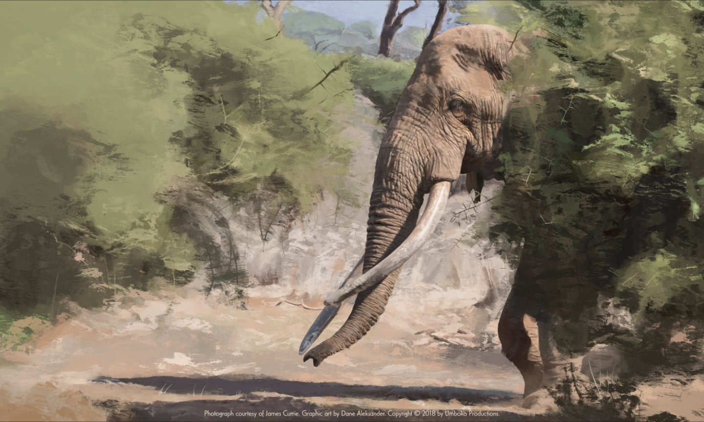 Last of the Big Tuskers Elephant Graphic – Craig (digital painting, 2018)