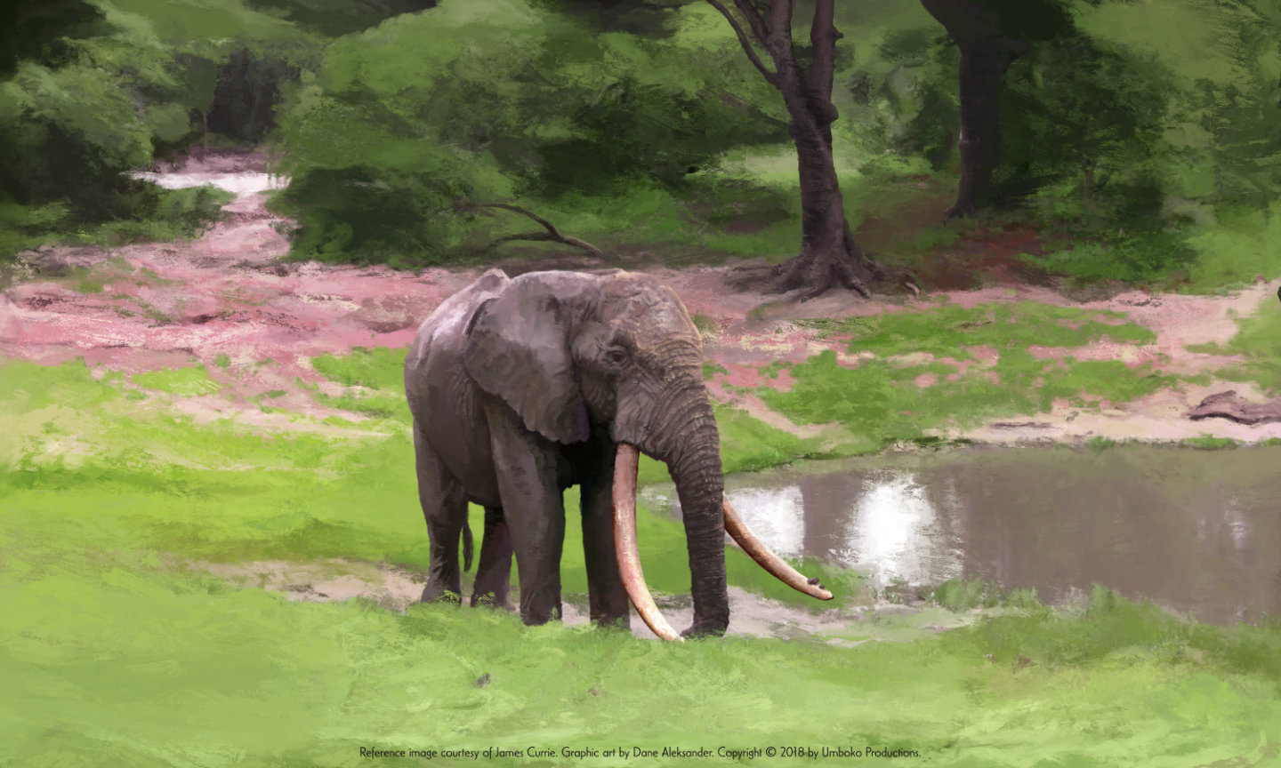 Last of the Big Tuskers Elephant Graphic – Isilo (digital painting, 2018)