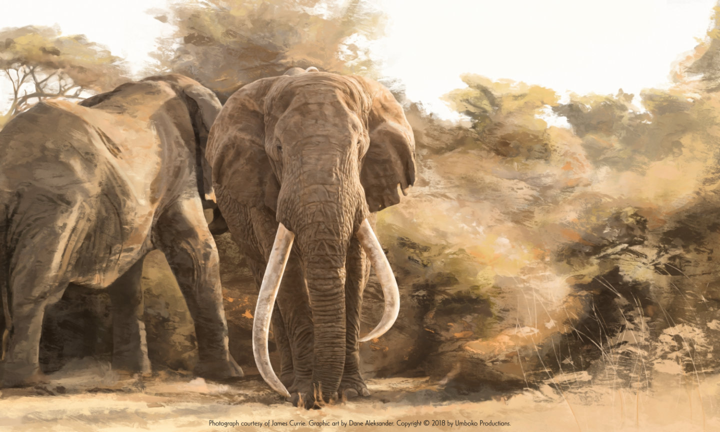 Last of the Big Tuskers Elephant Graphic – Tim (digital painting, 2018)