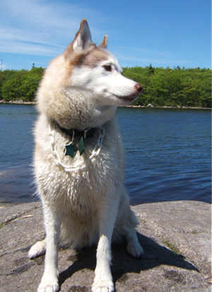 Nakita at Long Lake, 2005 © Dane Aleksander